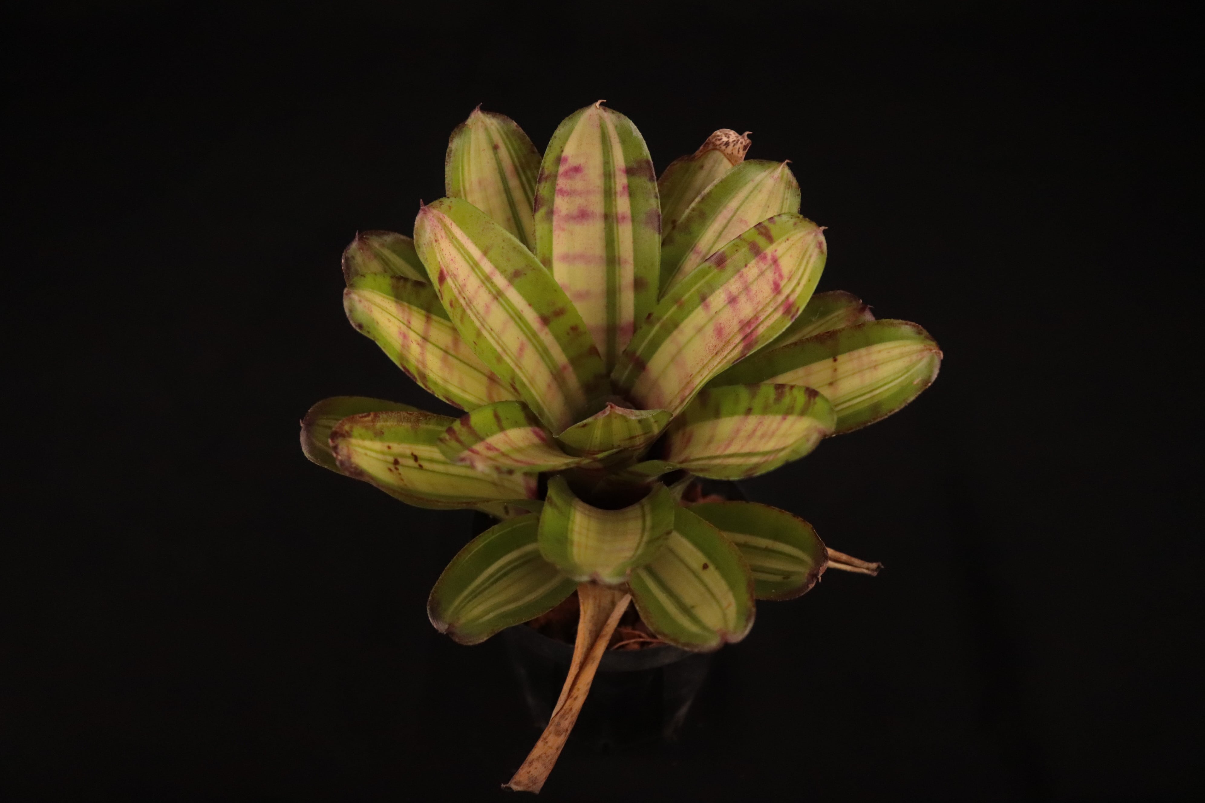 85ac31b3edd4d429cd1fbcb3641c72