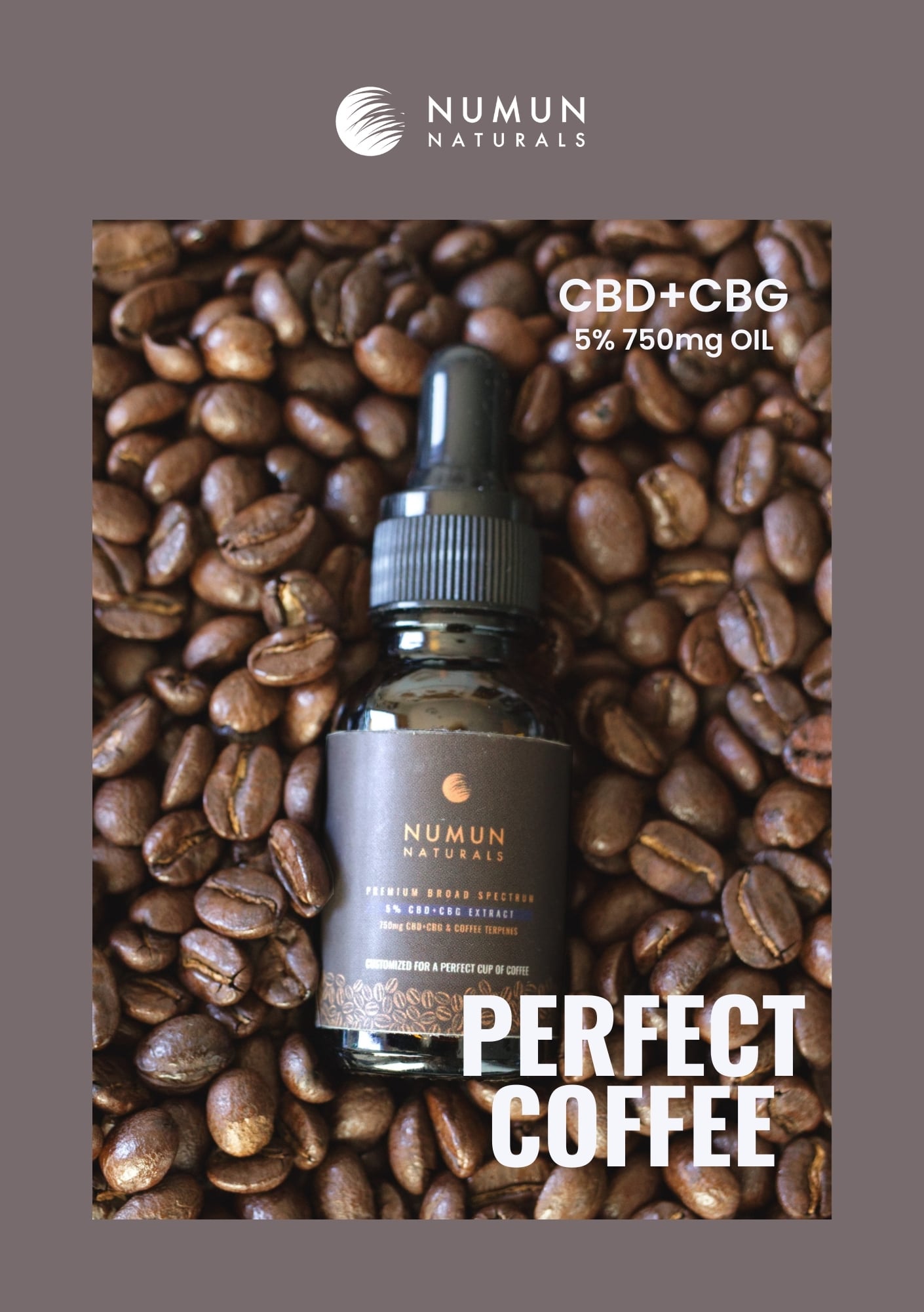 パーフェクトコーヒー CBD+CBGオイル 5% 750mg 【3本セット】 | NUMUN