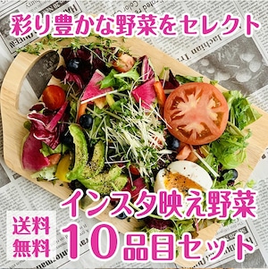 インスタ映え野菜10品目セット【送料無料】