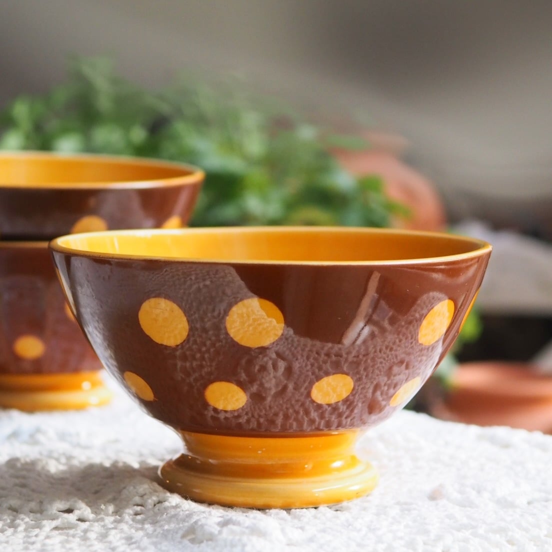 サルグミンヌの花リムオーバルプレート | ヴィラモンローズ