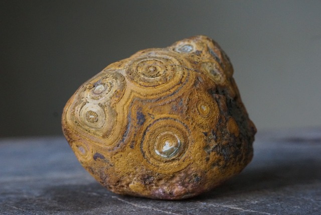 ゴビアゲート Gobi Desert Eye Agate 653