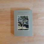 みあげればひかり