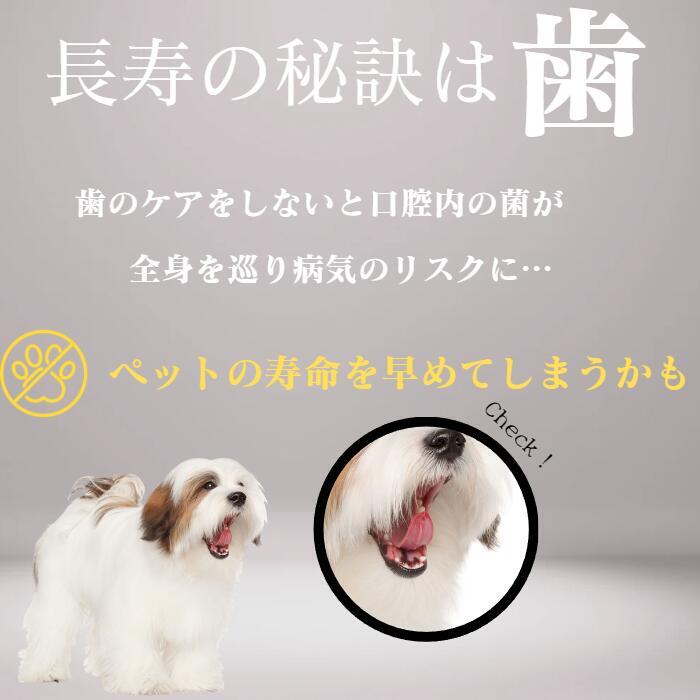 ハノケア マウスクリーナー オリジナル 473ml（旧 KPSマウスクリーナー