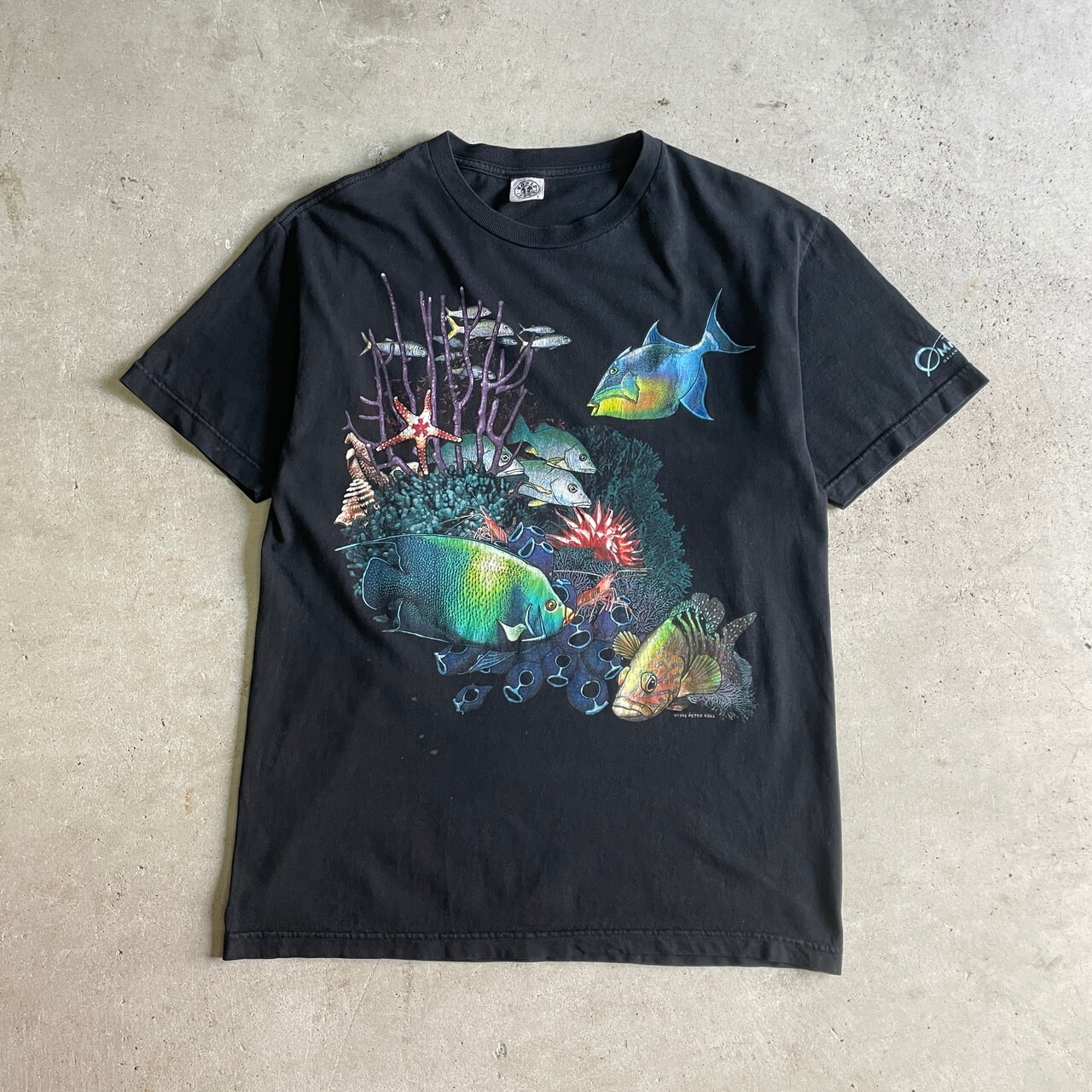 90年代 USA製 PETER KULL 魚 アート プリント Tシャツ メンズL 古着 
