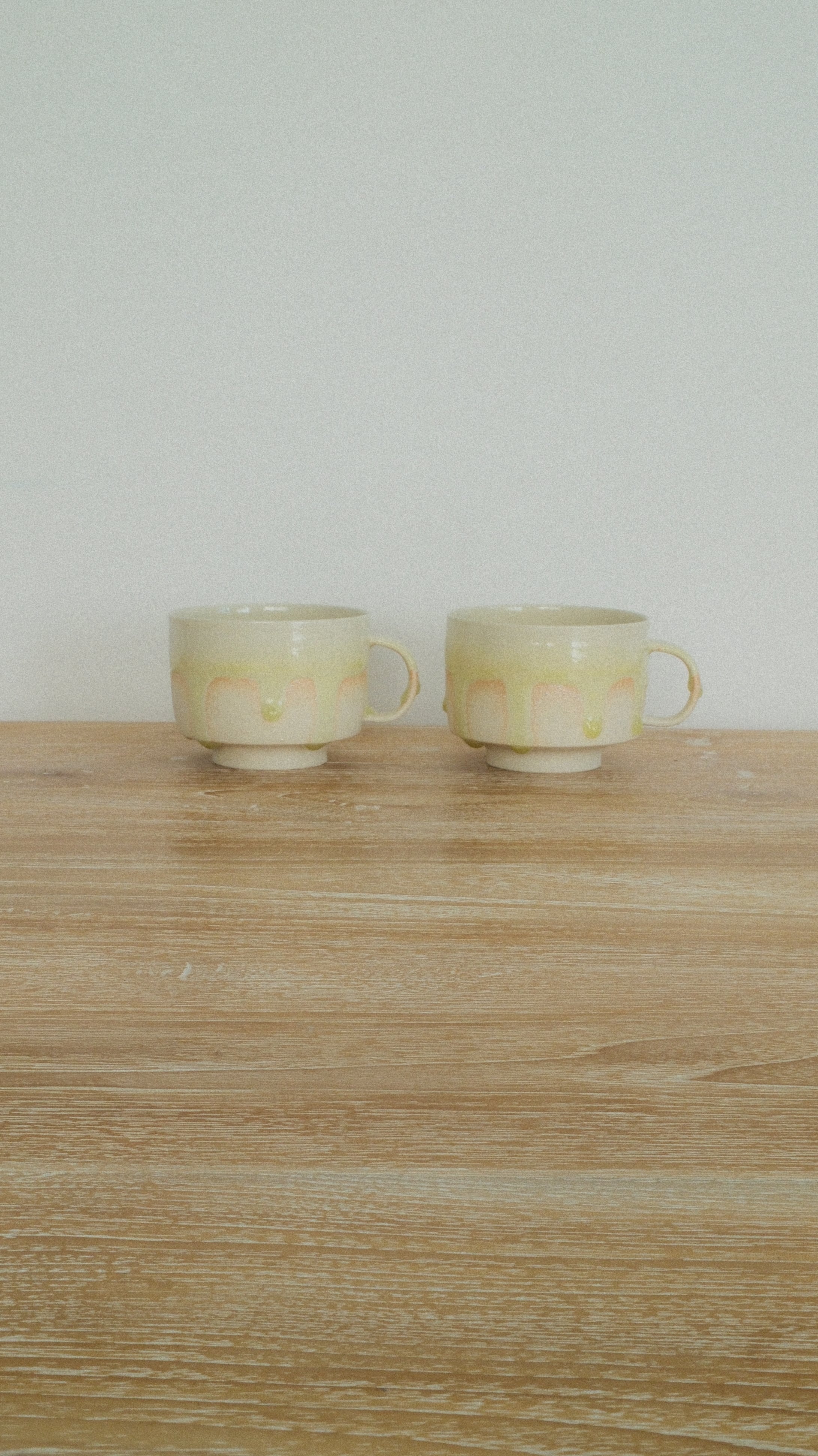 陶器作家 | ギャラリーSORA