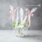 ドウダンツツジ フェイクグリーン H85cm 大型 観葉植物 人工観葉植物 コンクリートポット インテリアグリーン