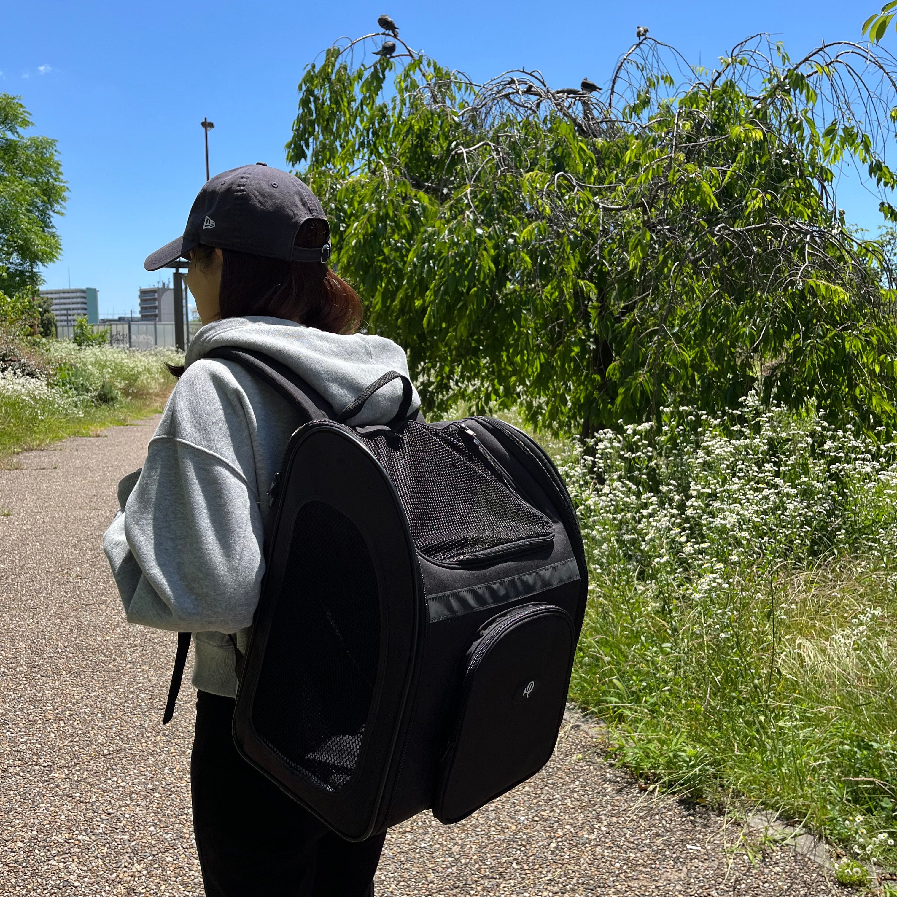 Petique ペティーク バックパッカー ブラックシャドー ペットキャリー