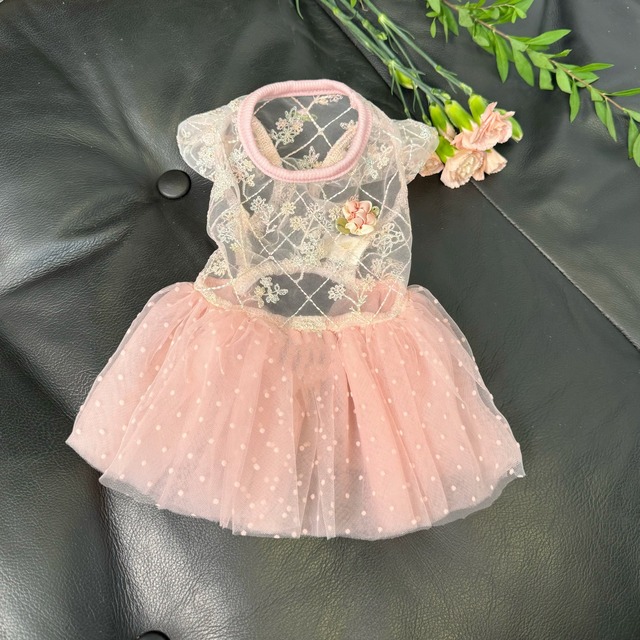 petite lace tulle dress