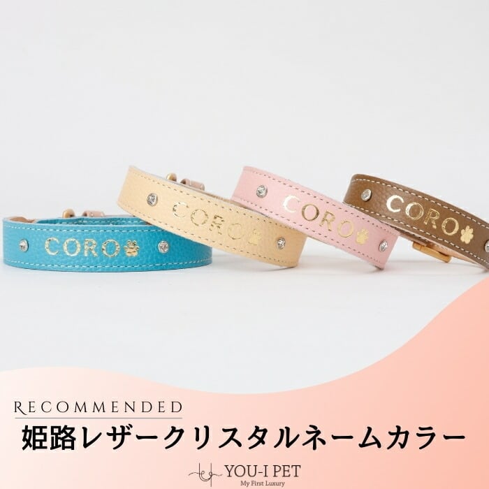 クリスタルネームカラー SSサイズ 18.5cm〜22.5cm | YOU-I PET