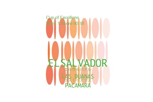 COEロッド　 100g　〜エルサルバドル 2025 COE1 LAS DUANAS 〜