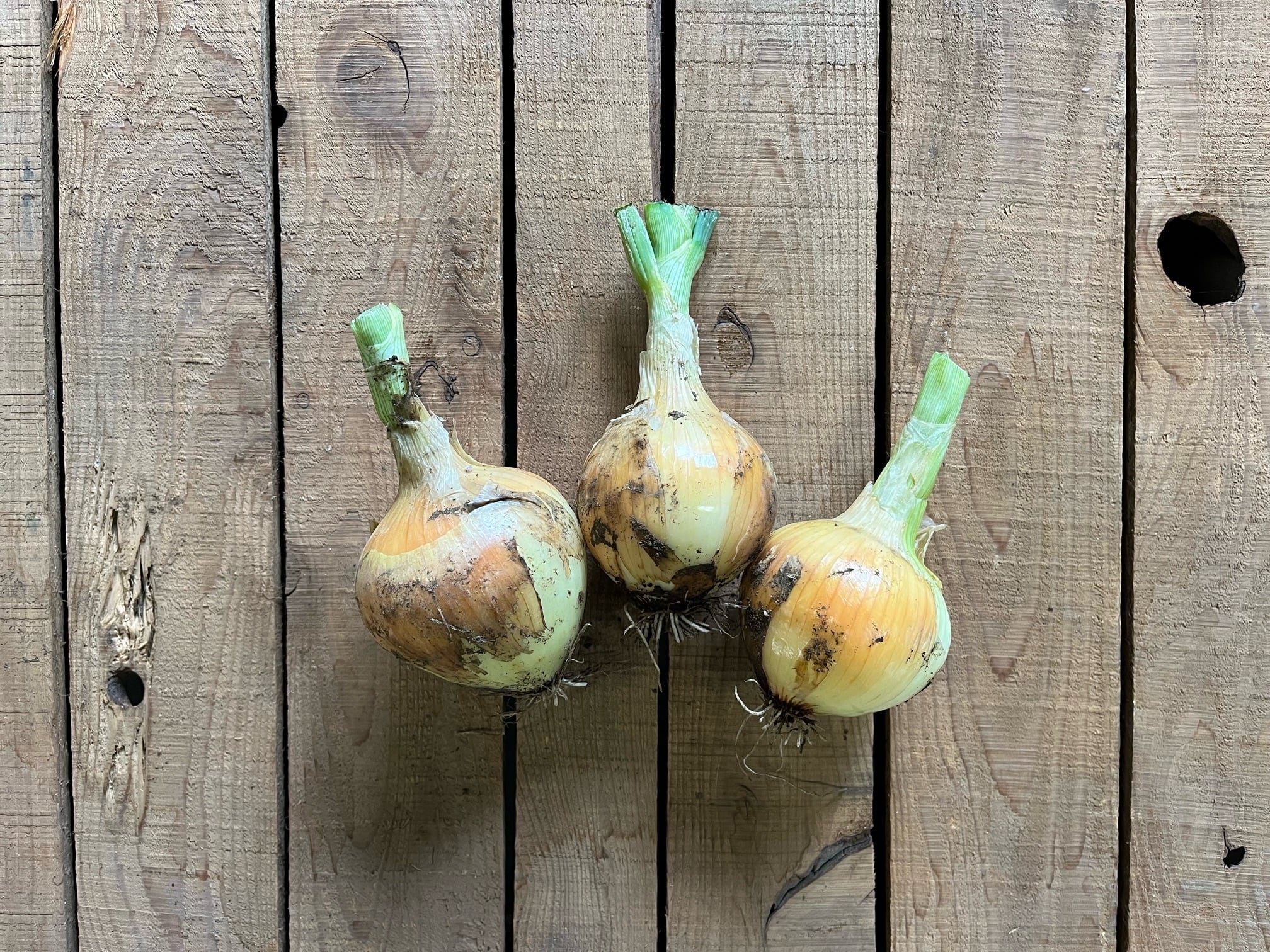 水曜日お届け！畑の野菜セット！ | オトワファーム