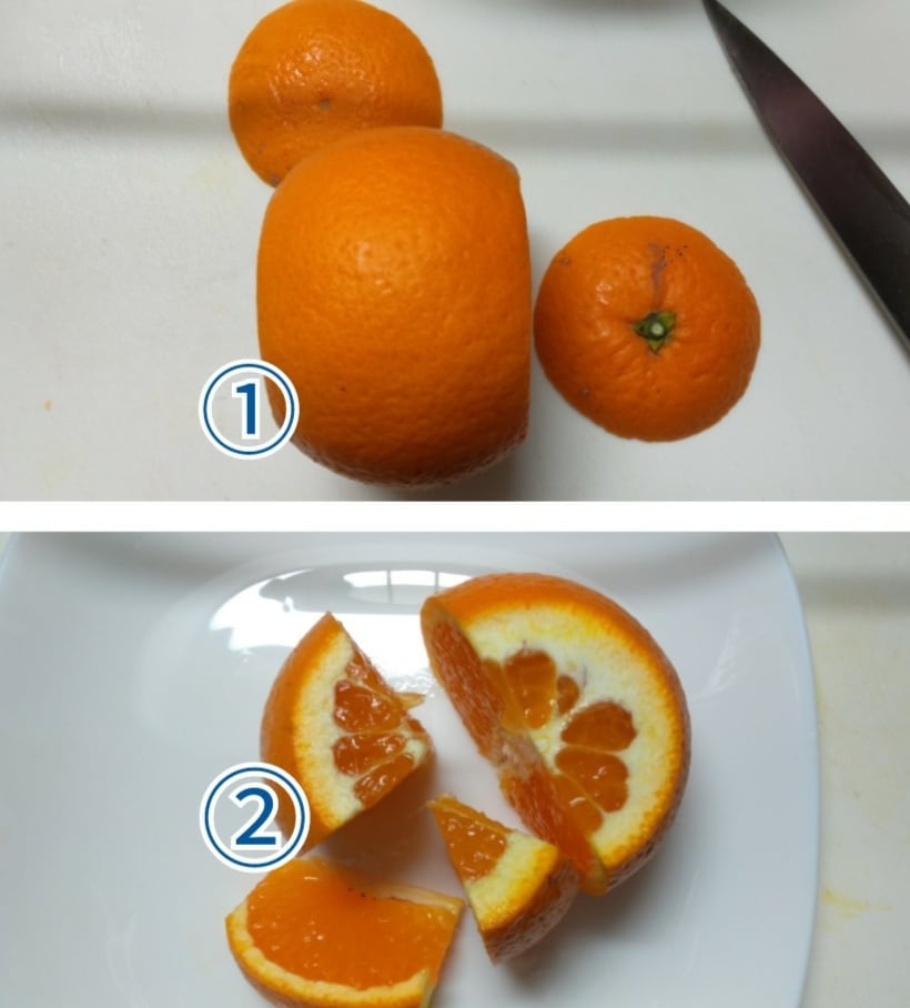 【訳あり】清見 5kg箱(税込・送料込)