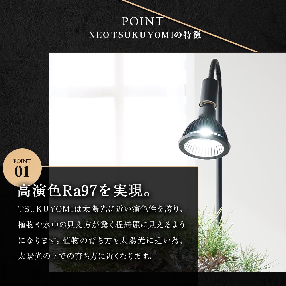 NEO TSUKUYOMI LED 20W | trigger