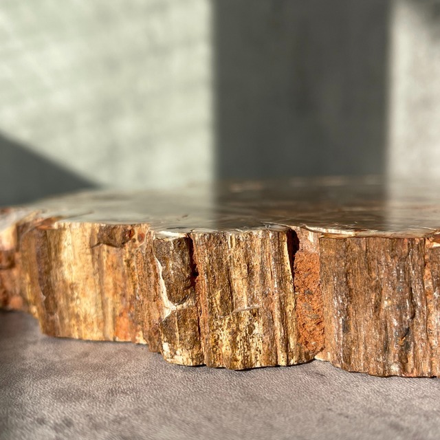 【ペトリファイドウッド（樹木の化石）】ビッグスラブ 鉱物 天然石 パワーストーン