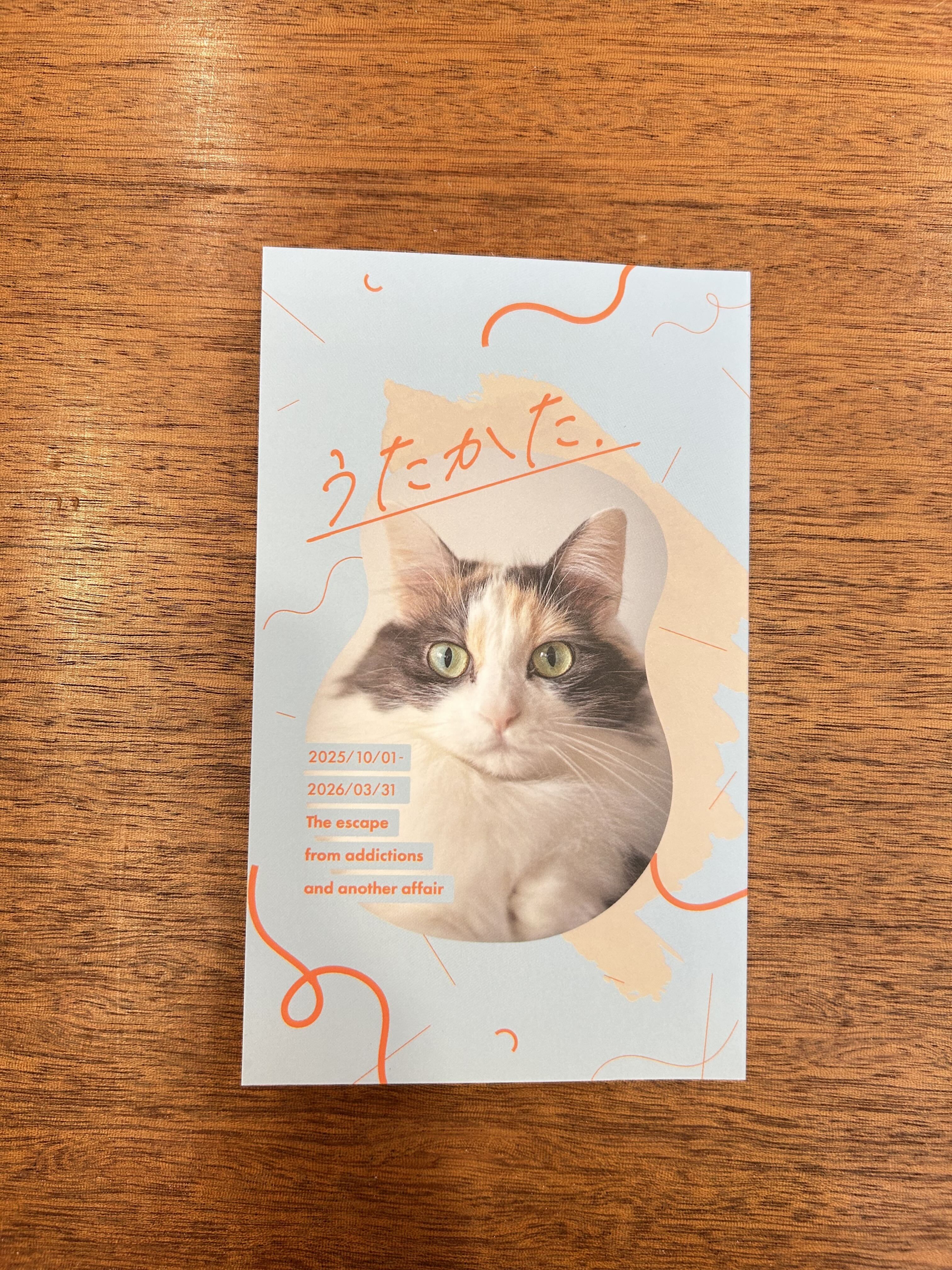 サイン入 猫ひた 小林 来たばかりの頃は隠れてばかりだったのに 猫の心が許しているサイン】 ７５０円　② 岡田 アイドル