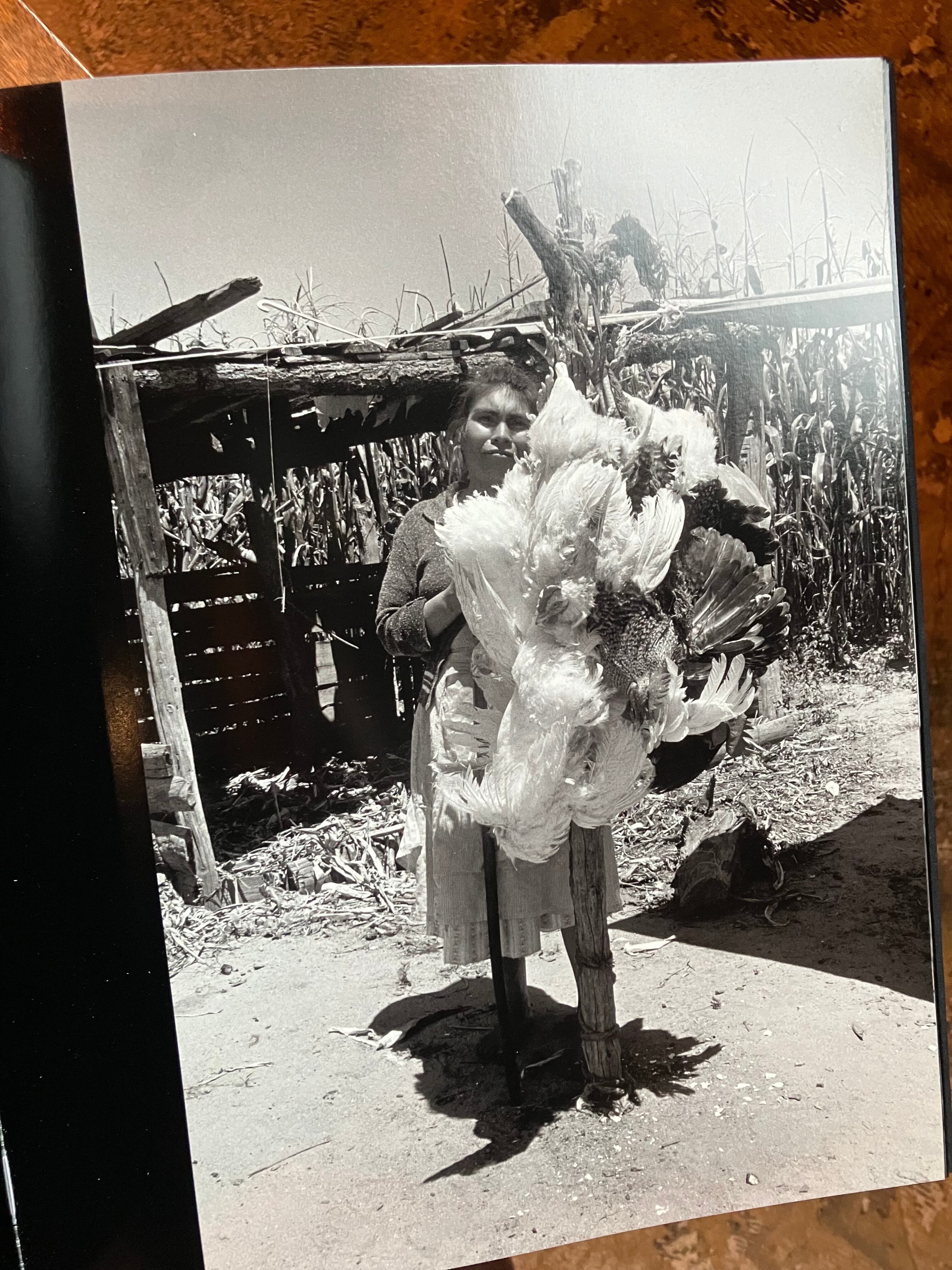 Pajaros :Graciela Iturbide | Void
