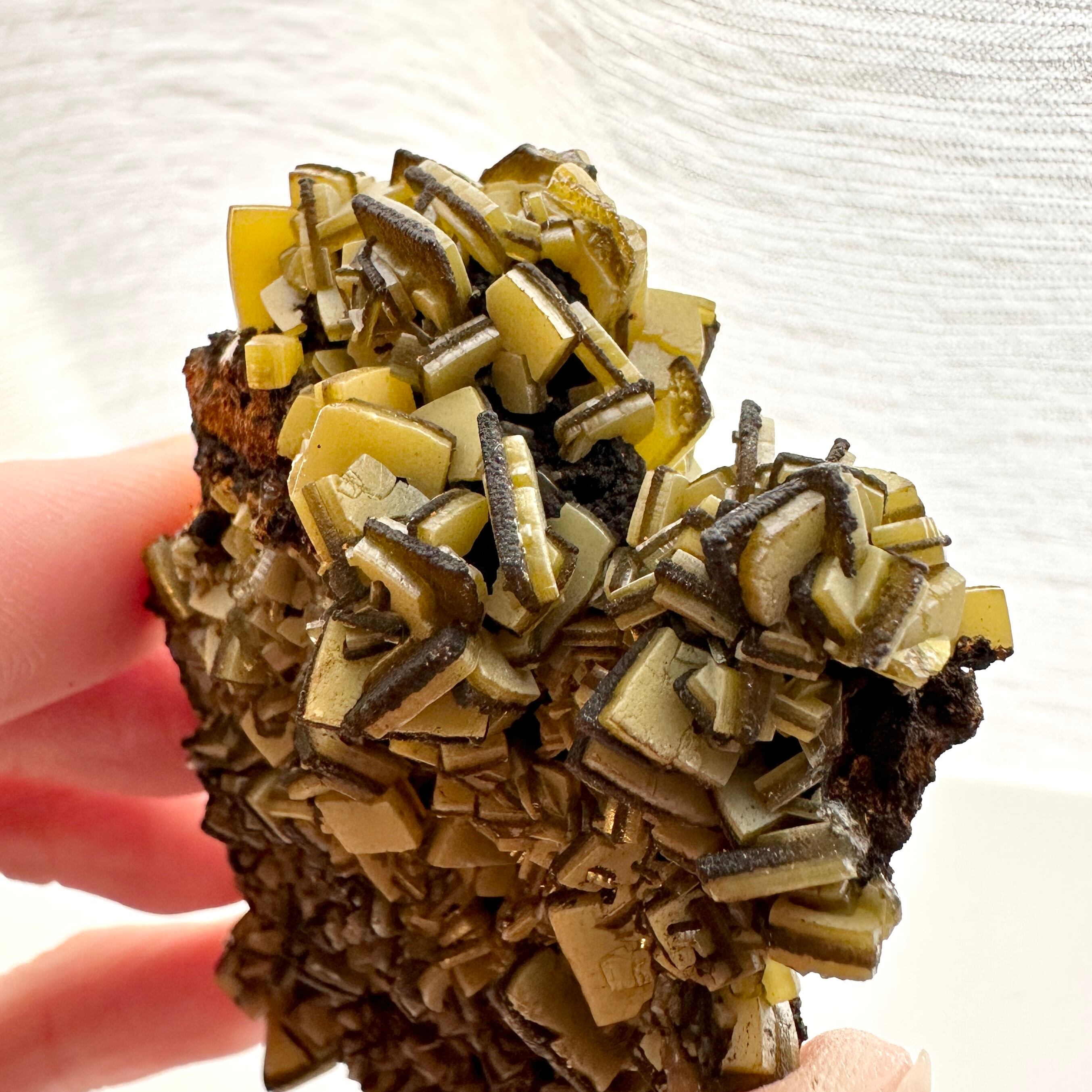 ウルフェナイト【Wulfenite】メキシコ産 | PEANUTS MINERALS