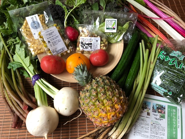 【販売スタート】ベジバルーンセット（6月）『芒種の候　梅雨を乗りきれ元気いっぱい野菜たち』※写真は5月に出荷したベジバルーンです。