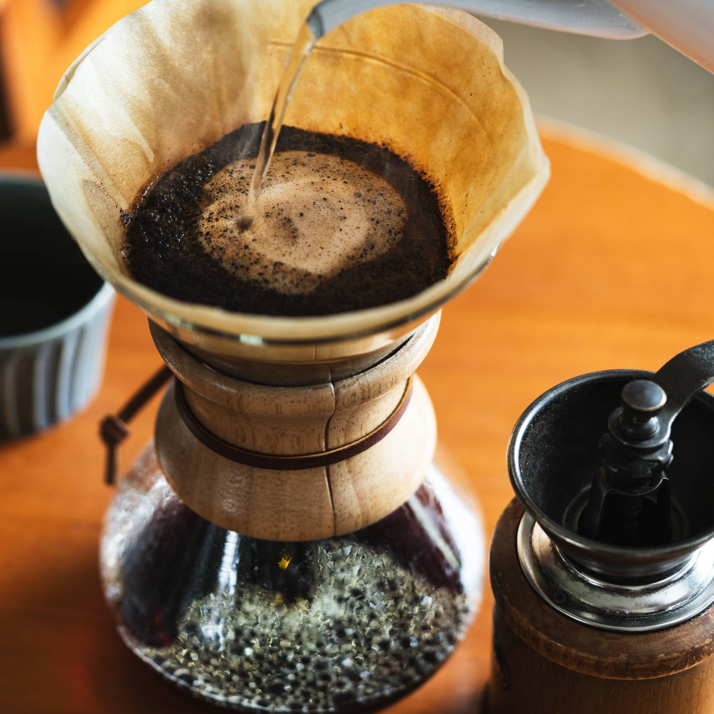 塒珈琲 ｜ 飲み比べセット（ホンジュラス エルロブラル100g