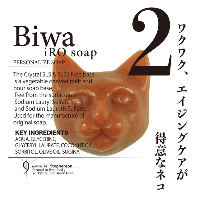 From【B】ハコイリネコ-Biwa-