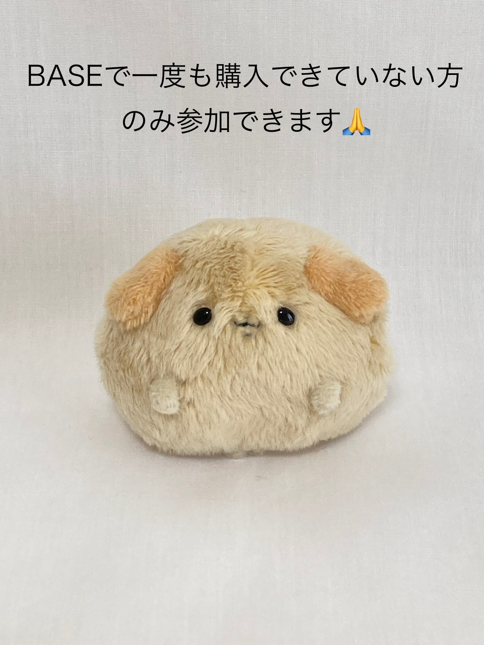 抽選販売】犬のあかちゃん（茶）BASEで一度も購入できていない方が対象