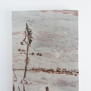 ピクチャージャスパー / スラブ