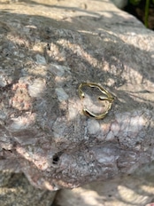 grip ring (221)