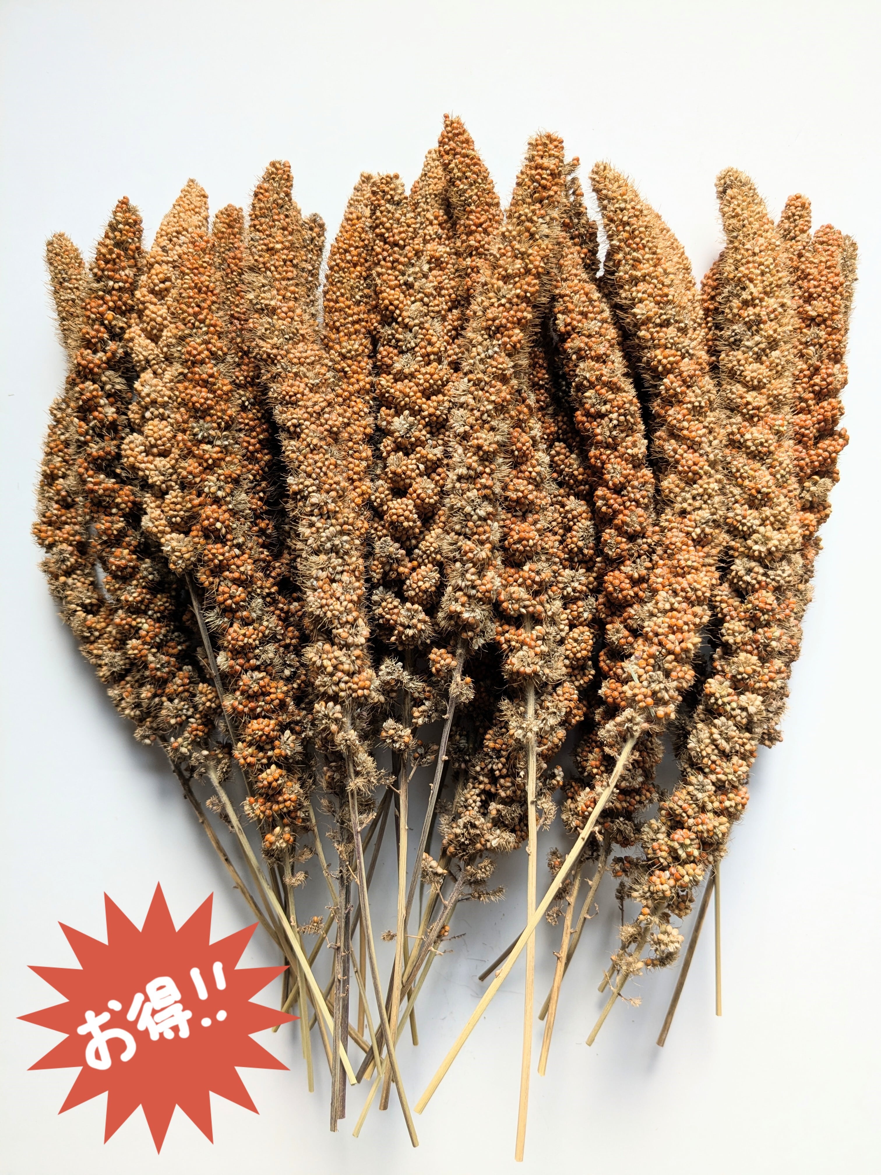 廣田農園 BASEストア 鳥部