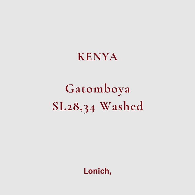 Kenya Gatomboya SL28,34 Washed [75g]