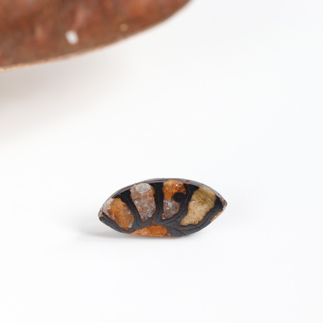 K14｜Fossilia｜アンモナイトのシングルスタッドピアス（片耳）B