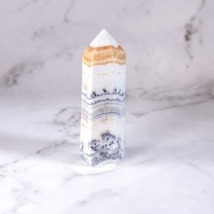 デンドリティックオレンジカルサイト タワー B