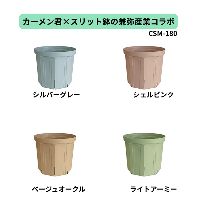 カーメン君　スリット鉢（６号：CSM-180）スリット鉢の兼弥産業×カーメン君のコラボ