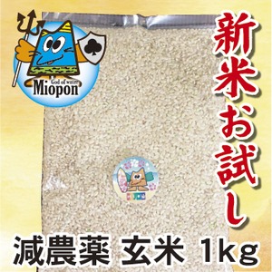 【減農薬】玄米ヒノヒカリ1kg　大分県産・日田よりお届けします！