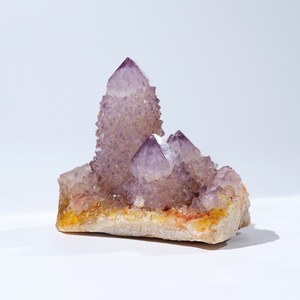 カクタス スピリット アメシスト アメジスト / 原石 標本【B】