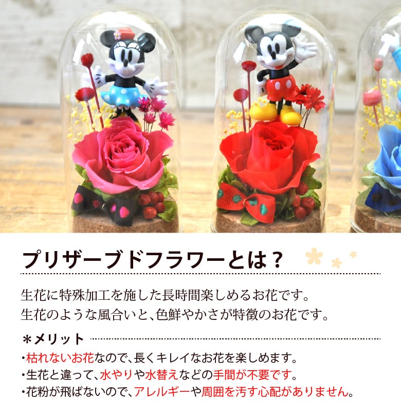 プリザーブドフラワー キャラクターカプセル | ブルーメンケイ