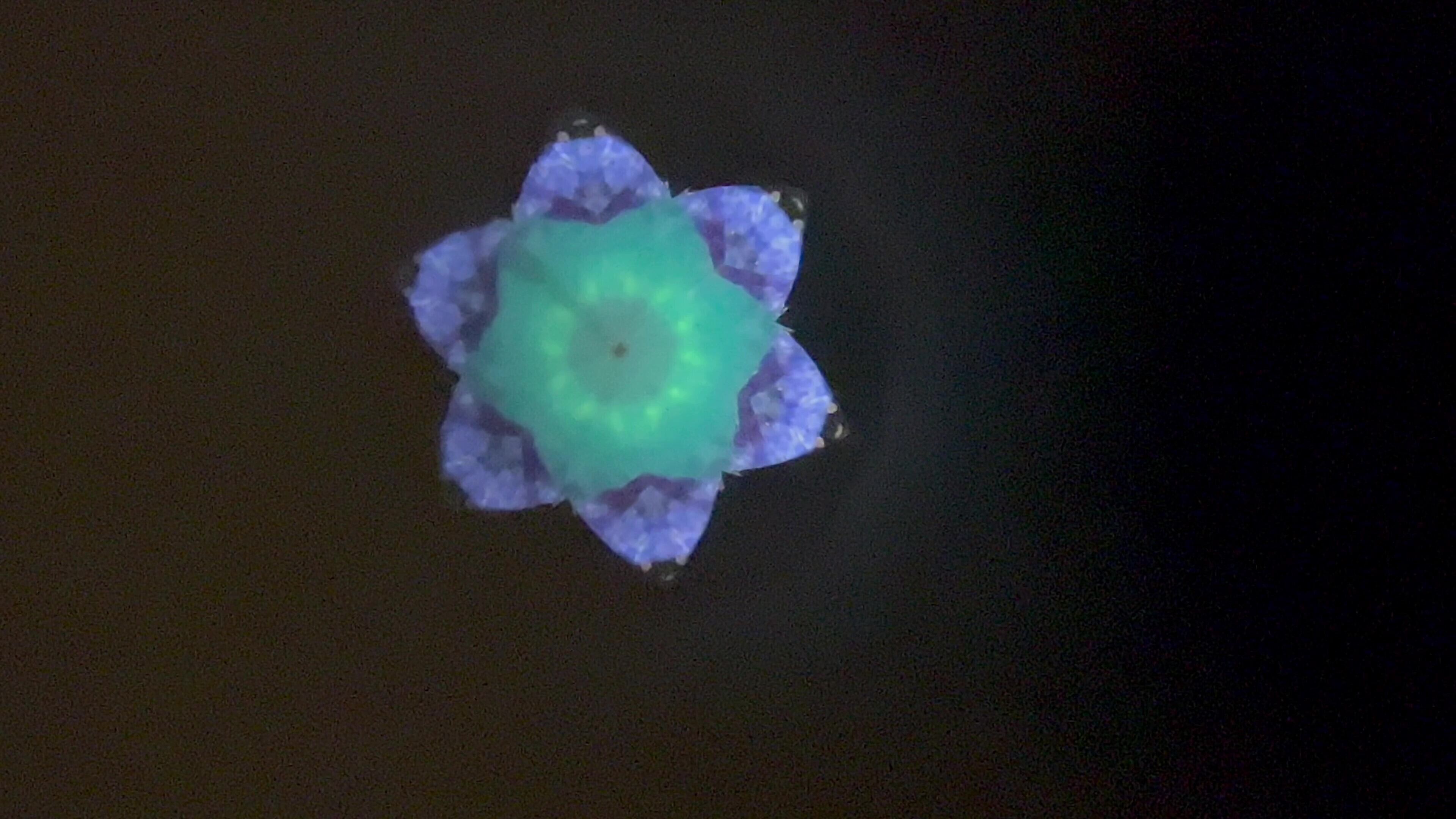 溝口好晴 和の万華鏡シリーズ 般若心経 | ギャラリーレックス 一流陶芸