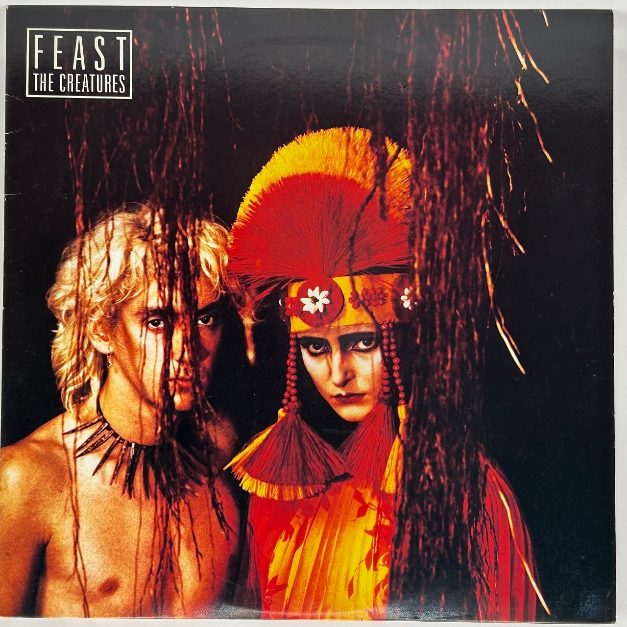 LP】フランク・チキンズ – We Are Frank Chickens | マメシバレコード