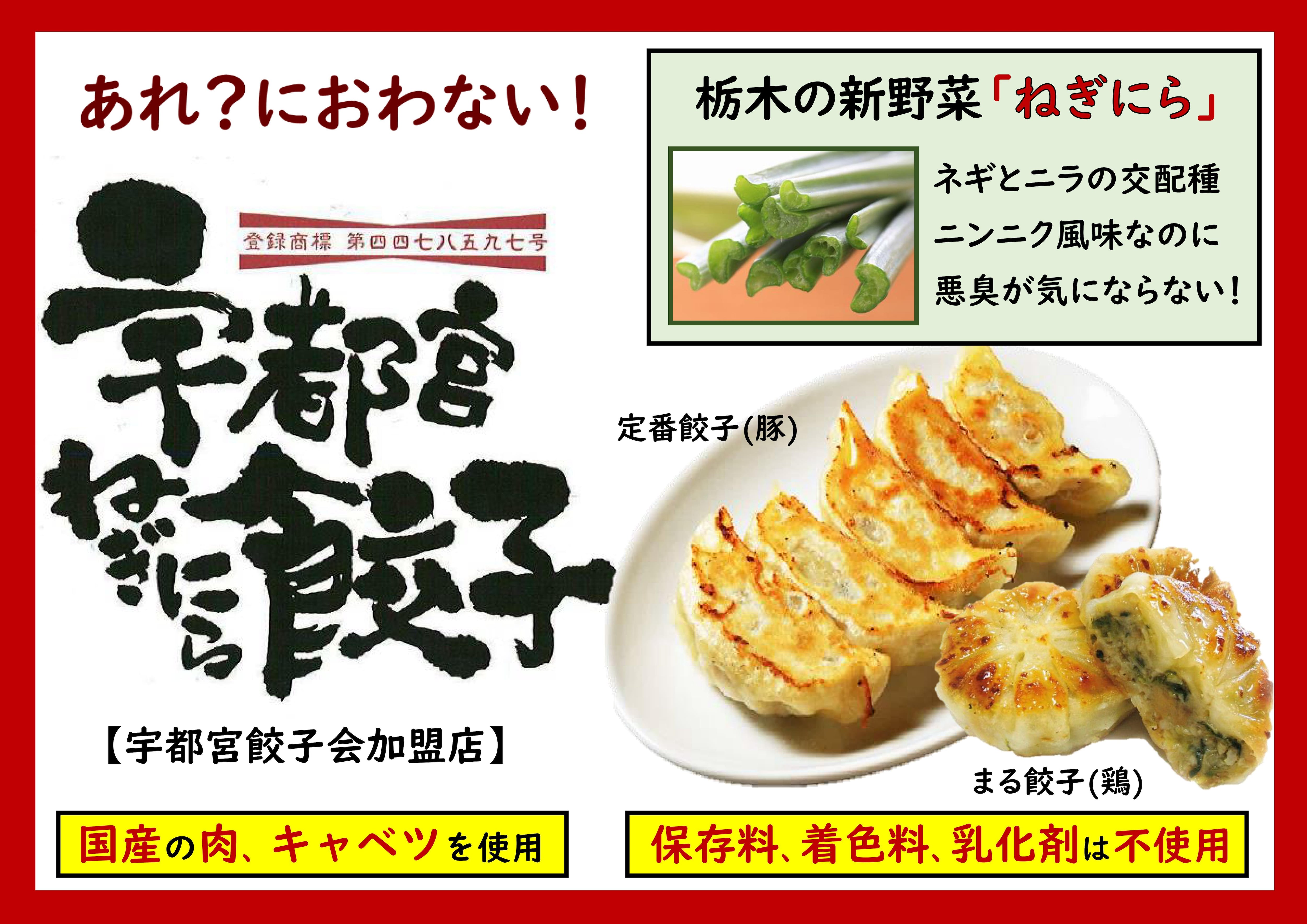 8人前 40個】定番餃子（にんにくなし） 冷凍 | Utsunomiya Neginira