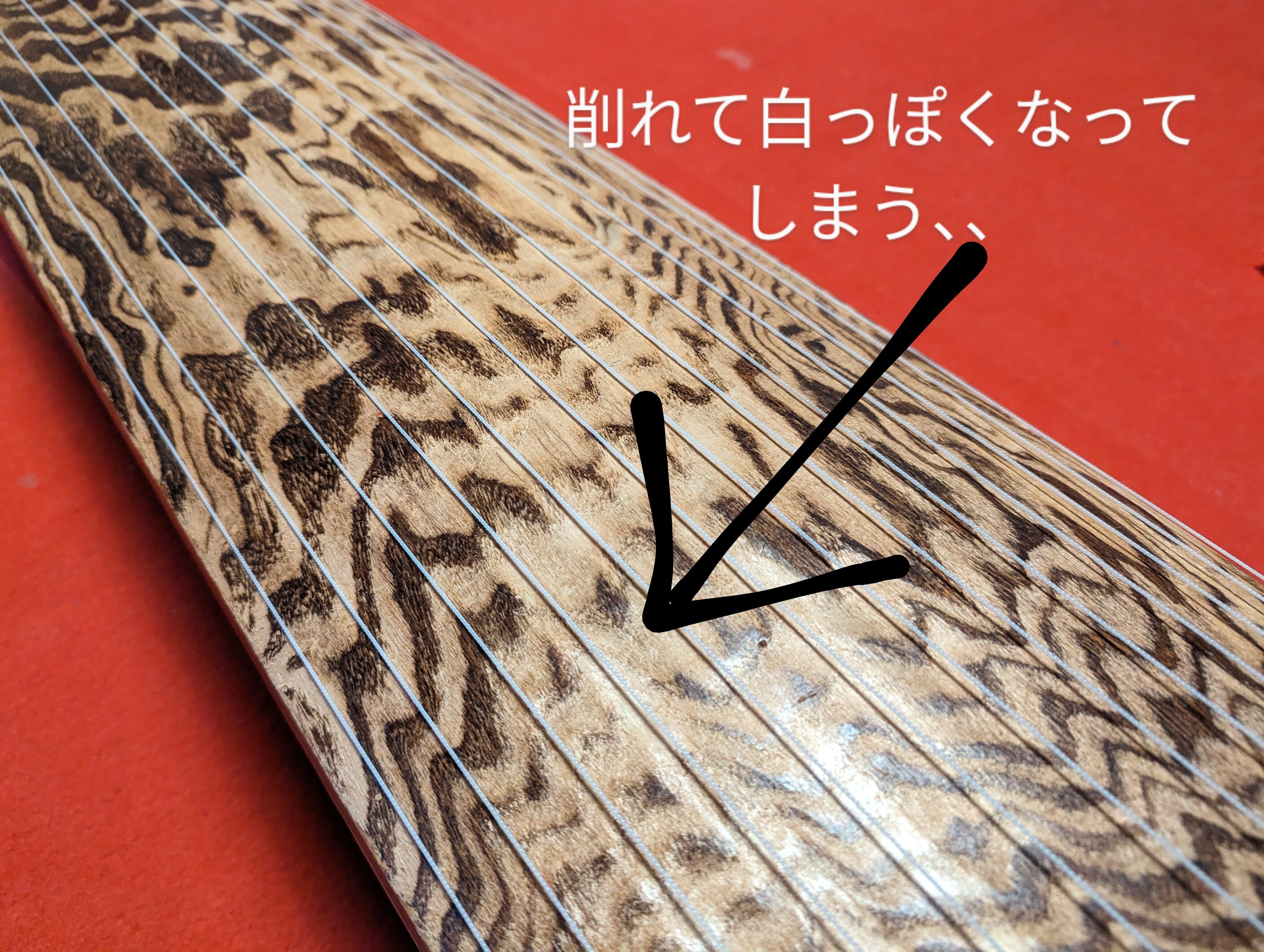 白象印 琴柱セット（面取り済み）新富士・玉龍／koto-am_cube443