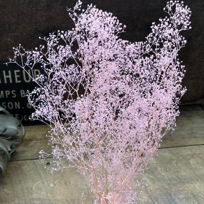 かすみ草 ピンク ドライフラワー 10g 花材 ハンドメイド カスミソウ
