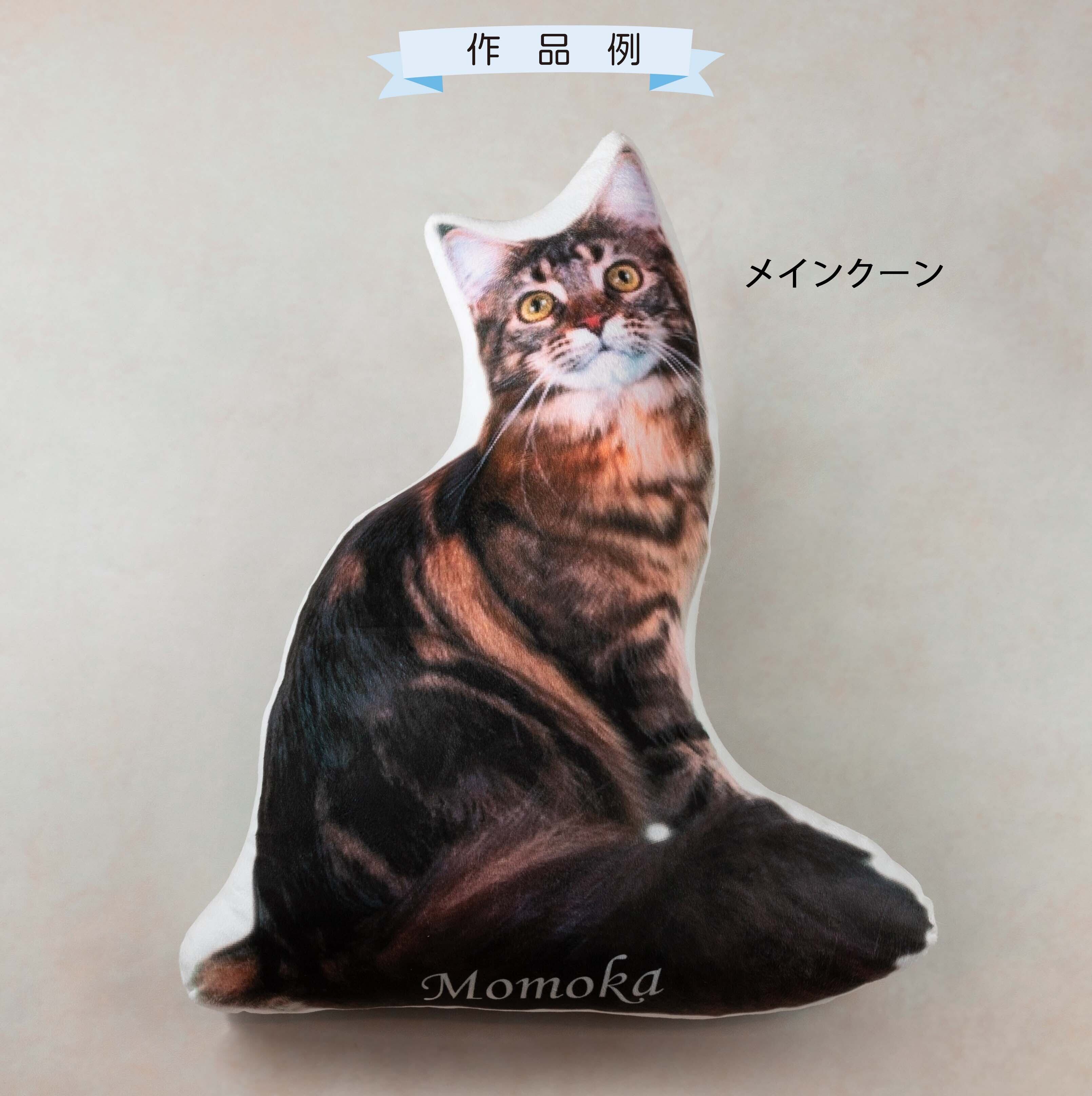 うちの子そのまんま リアルな等身大クッションlサイズ 50 68cm オーダーメイドのペットグッズのお店 Lily Craft