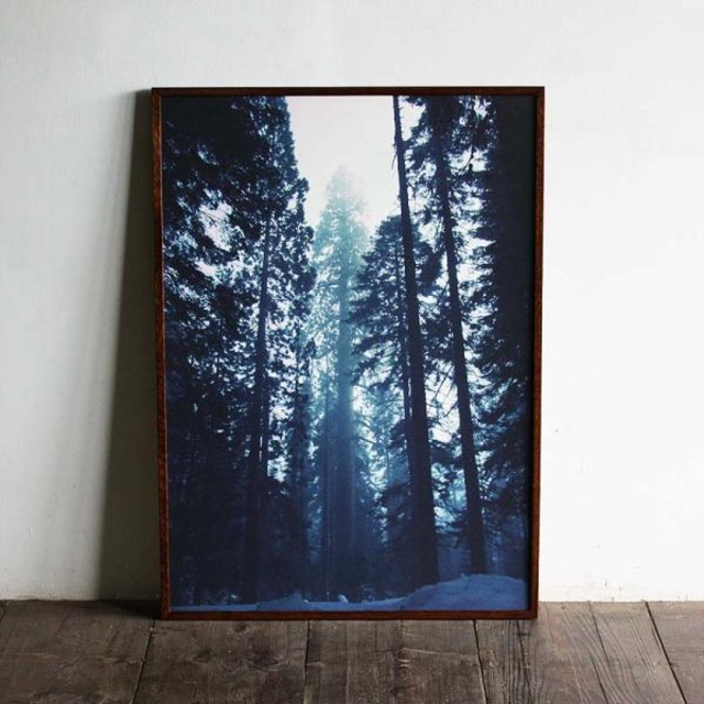 Forest of Giant Sequoia / B2 poster