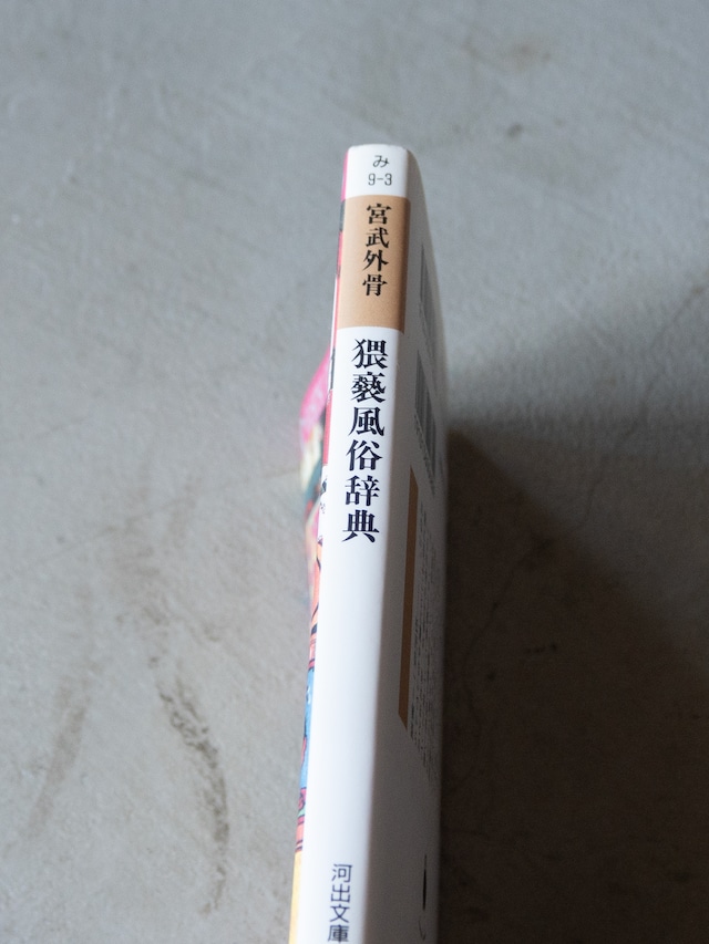 "猥褻風俗辞典" vintage Book