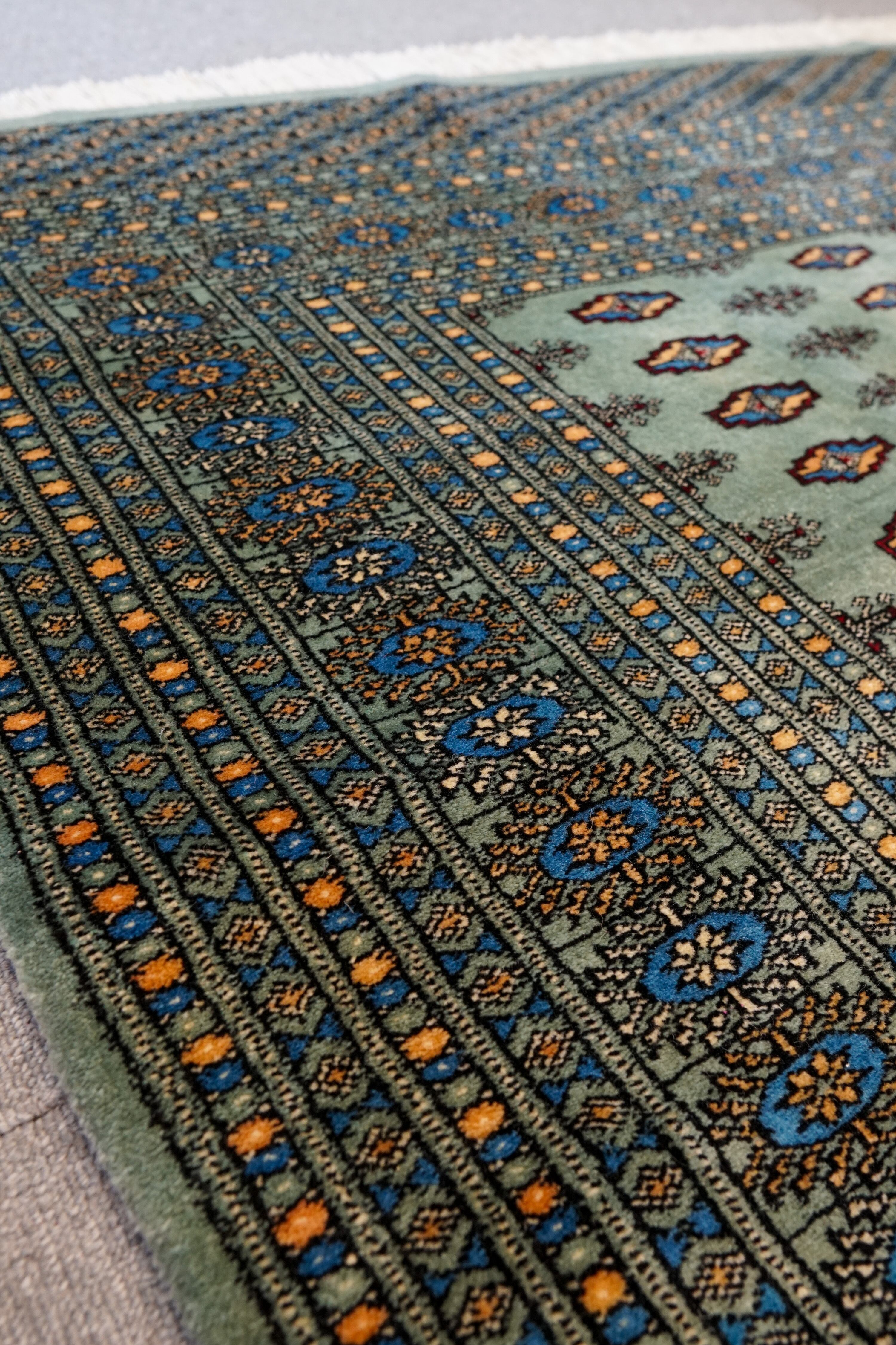 手織りパキスタン絨毯 size: 254×155cm-