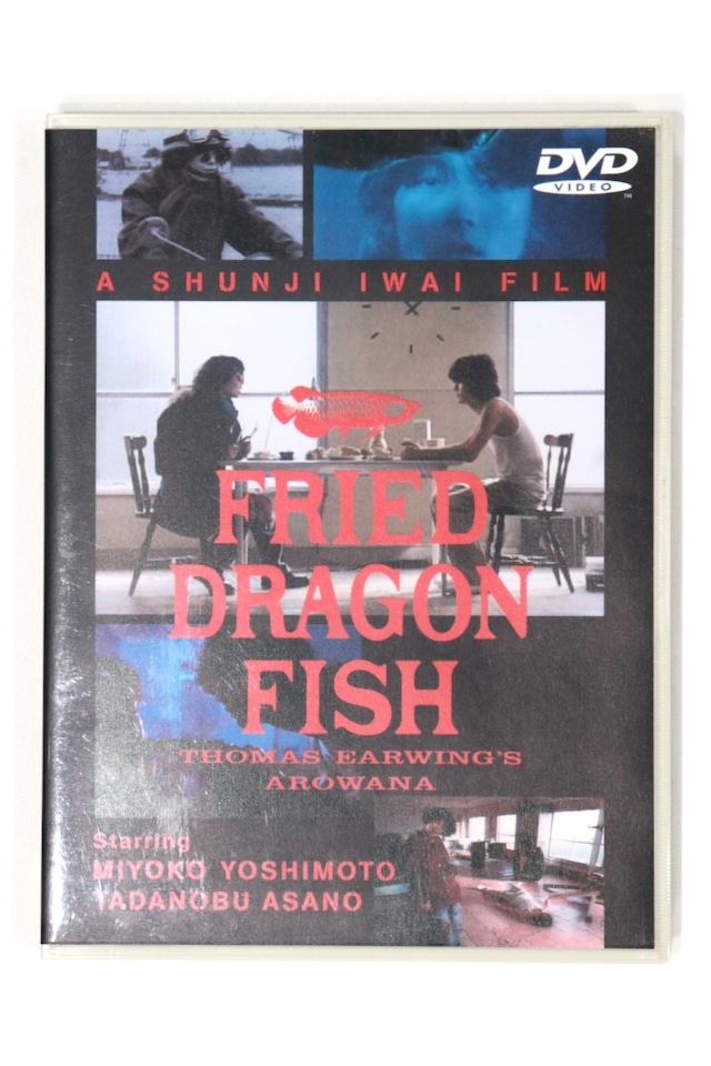 FRIED DRAGON FISH: THOMAS EARWING'S AROWANA