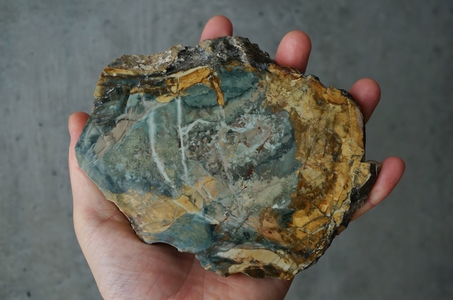 モリソナイト・ジャスパー Morrisonite Jasper 1963