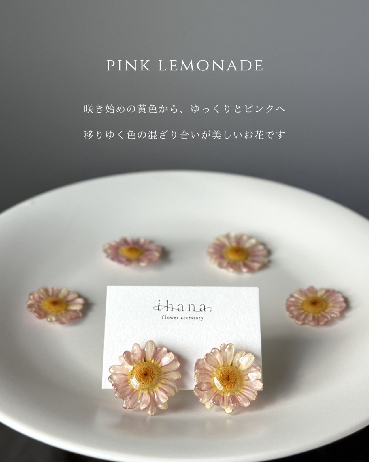 earring (ソフトフィット)【1点限定】