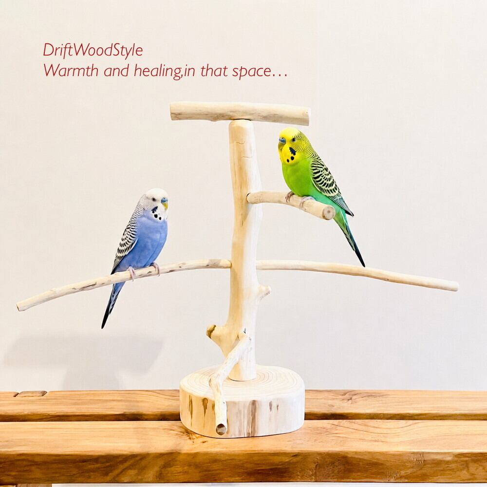 流木インテリア専門 DriftWoodStyle