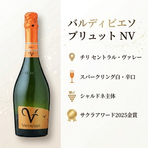 【柑橘果実×ふくよかな泡×爽快 シャルマ方式】バルディビエソ ブリュット NV｜チリ セントラル・ヴァレー スパークリング白｜シャルドネ/ピノ・ノワール