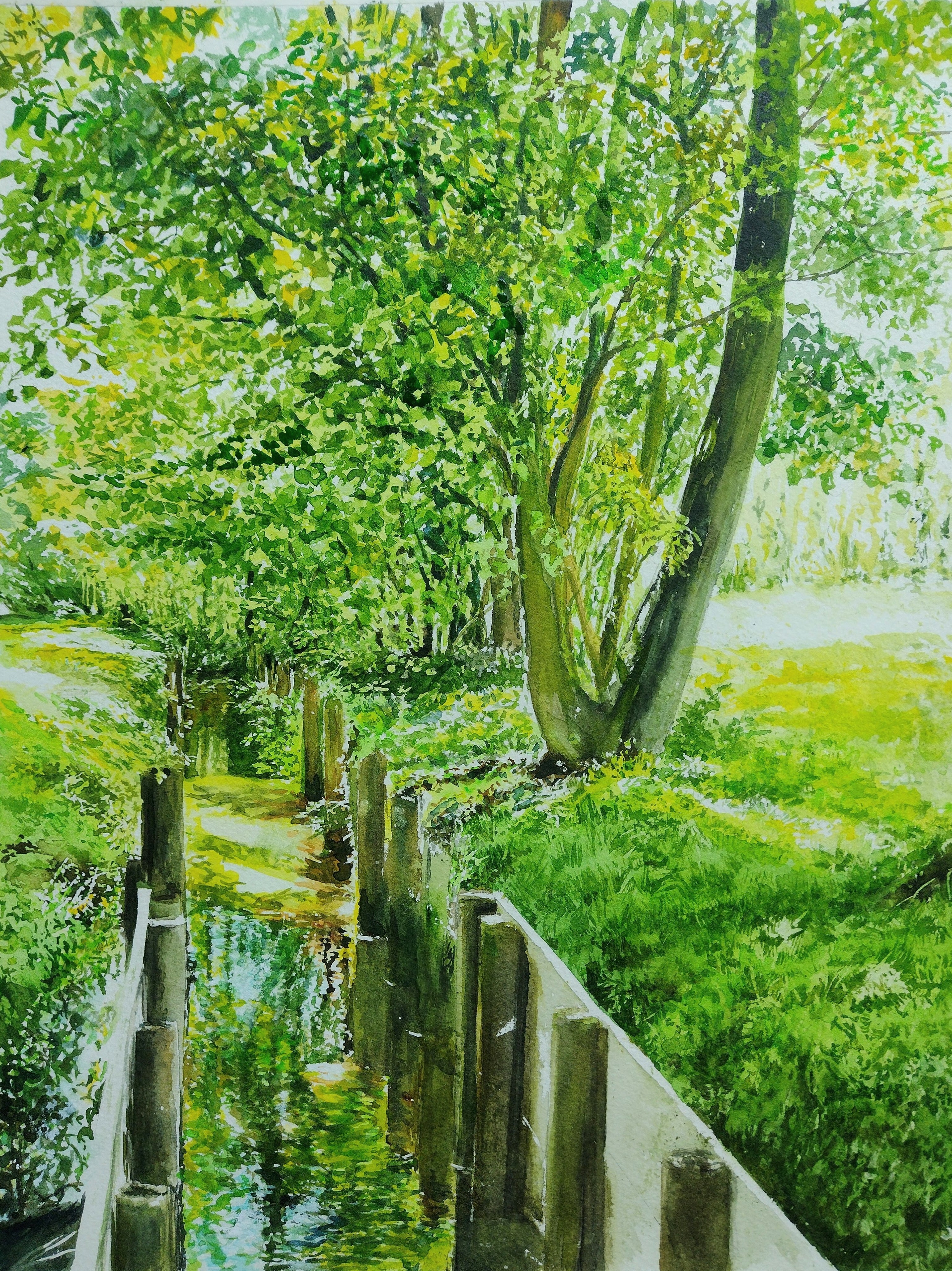 水彩画 風景画 画題「水路を描く緑」 | yamakasumi56